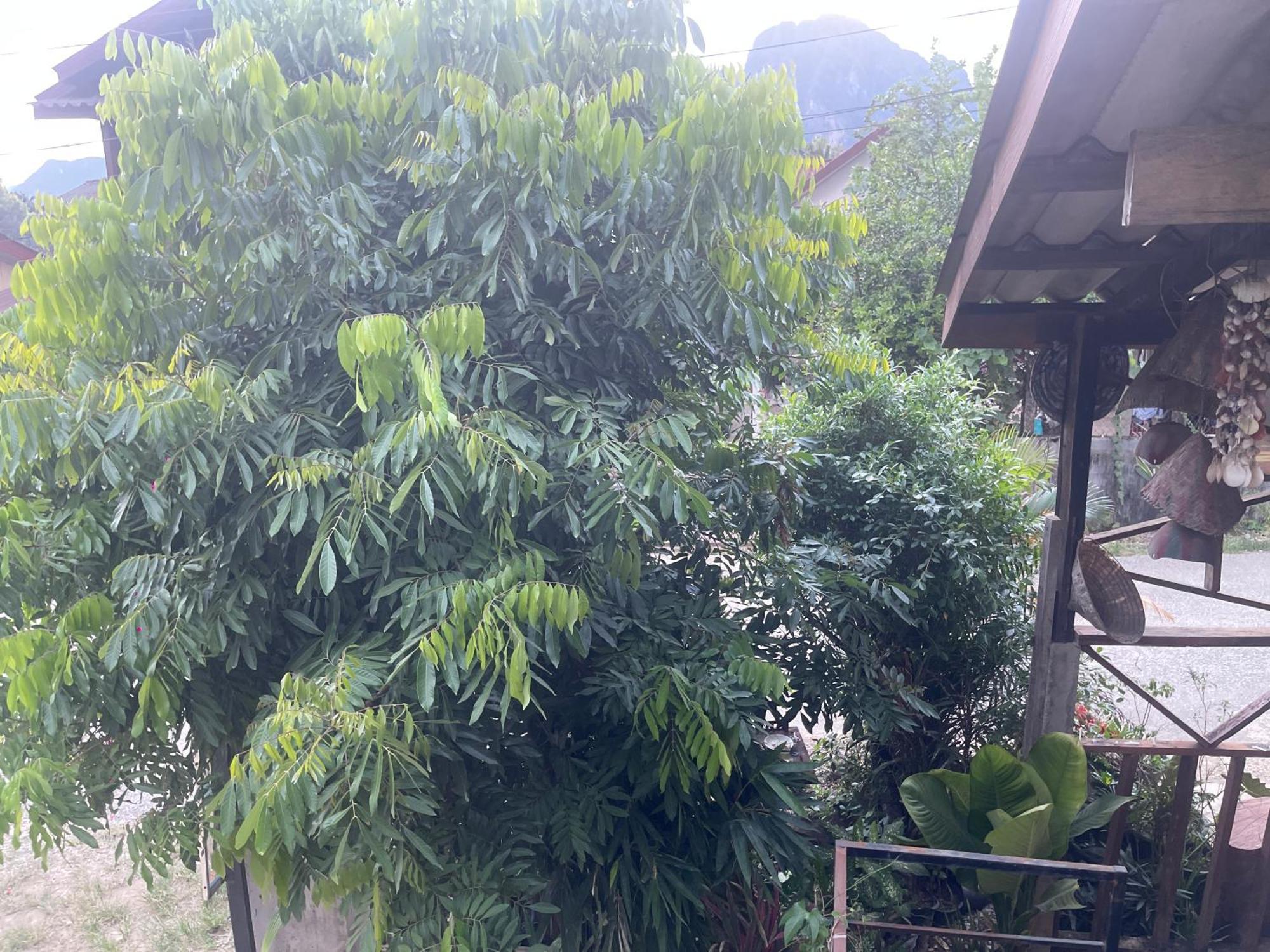 Outland Hostel Vang Vieng Dış mekan fotoğraf